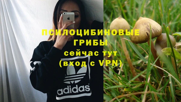сатива Пестово