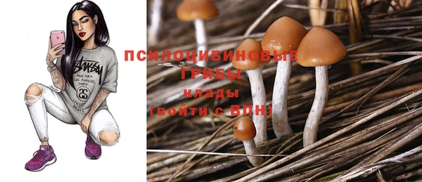 сатива Пестово