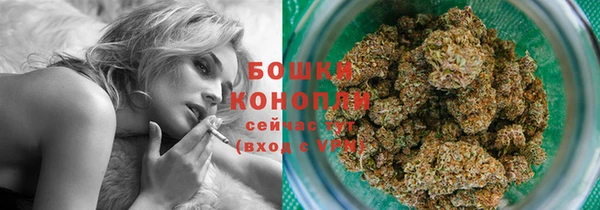 сатива Пестово