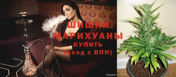 ешки Осинники