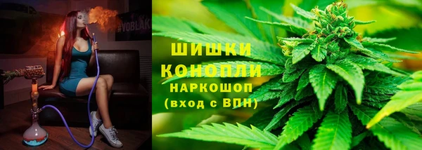 дурь Переславль-Залесский