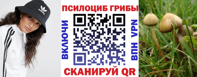 kraken зеркало  Сатка  Псилоцибиновые грибы MAGIC MUSHROOMS 
