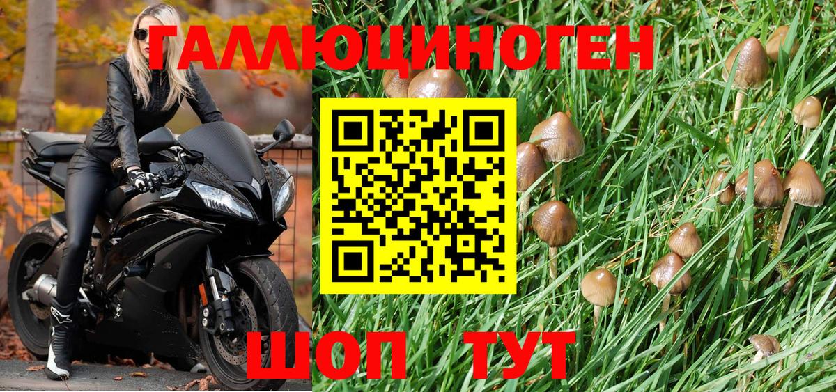 Галлюциногенные грибы мицелий  Сатка 