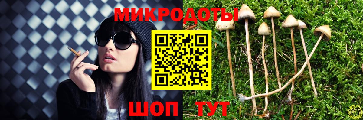 Галлюциногенные грибы прущие грибы Сатка