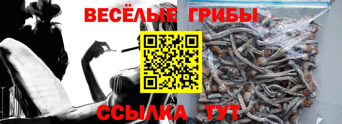 Сатка  Галлюциногенные грибы Psilocybine cubensis  Вход с VPN 